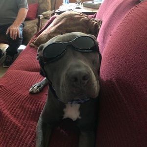 Meet your Posher, Justin